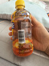 康師傅 冰紅茶330ml*12瓶 檸檬紅茶飲料飲品輕巧裝整箱 王一博同款 曬單實拍圖