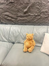 Jellycat巴塞羅熊動(dòng)物毛絨玩偶兒童安撫公仔小熊潮玩生日七夕情人節(jié)禮物 巴塞羅熊禮盒裝 Large 曬單實(shí)拍圖