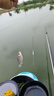 光威（GW） 光威魚竿龍云超硬臺釣竿 碳素魚竿超硬魚桿28調(diào)鯉魚黑坑 4.5m 龍云三代 曬單實(shí)拍圖