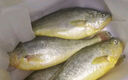 鴻順【冰鮮】黃花魚4條4斤 生鮮魚類 寧德大黃魚 地標(biāo)產(chǎn)品 源頭直發(fā) 曬單實拍圖