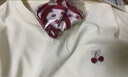 Olrain歐芮兒2025新款夏季領(lǐng)口鏤空法式絲巾搭配刺繡短袖T恤女 奶杏色 L 曬單實拍圖