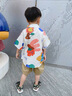 G.DUCKKIDS男童夏裝套裝2025新款洋氣寶寶夏季運(yùn)動(dòng)上衣短袖中小兒童兩件套潮 熱售圖片色 110 cm 建議年齡4-5歲 曬單實(shí)拍圖