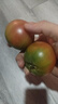京鮮生 山東鐵皮草莓西紅柿 凈重4.5斤 單果60-150g水果番茄源頭直發(fā) 曬單實(shí)拍圖