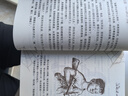 夏洛的網(wǎng)正版三年級四年級必讀課外書(shū)上海譯文出版社懷特原版任溶溶譯人教版中文五六年級小學(xué)生閱讀書(shū)籍繪本夏洛特的網(wǎng)非注音版 夏洛的網(wǎng) 上海譯文出版社 曬單實(shí)拍圖