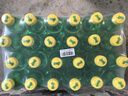 可口可樂（Coca-Cola）雪碧 Sprite 檸檬味 汽水 碳酸飲料 1.25L*12瓶 曬單實拍圖