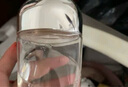 茵芙莎（IPSA）流金水200ml爽膚水抗痘補水保濕透亮美白祛斑護膚 曬單實拍圖