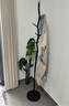 圣諾依琳奶油風(fēng)衣帽架落地臥室家用掛衣架高級藝術(shù)個(gè)性衣架樹(shù)杈黑+綠 曬單實(shí)拍圖