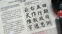 【上海市用戶專供款】六品堂二級毛筆練字書法考級考試套裝用紙軟筆小學(xué)生寫字等級毛筆字練習(xí)初學(xué)專用字帖 曬單實(shí)拍圖
