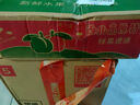 庾豐當(dāng)季新鮮現(xiàn)摘西梅 新鮮水果整箱 孕婦藍(lán)蜜法蘭西梅 團(tuán)購送禮 5斤裝（凈果4.5斤）甄選果王 顆顆甄選 產(chǎn)地直發(fā) 曬單實(shí)拍圖