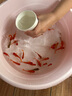 百綸木千草金魚觀賞魚冷水魚不加溫新手好養(yǎng)純種鳳尾大紅草魚苗 3-5cm草金魚55條 送魚糧 曬單實(shí)拍圖