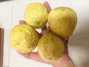 廣西欽蜜9號(hào)黃金百香果新鮮水果百香果原漿整箱應(yīng)當(dāng)季新果 【大果3斤】單果70-90g 曬單實(shí)拍圖
