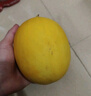 甘肅民勤沙漠蜜瓜新鮮采摘產(chǎn)地發(fā)貨 小果（單果≥500g）2斤凈重800g 曬單實(shí)拍圖