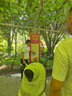 稻草人包包女包2025輕奢媽媽包單肩包通勤百搭斜挎包生日七夕情人節(jié)禮物 曬單實(shí)拍圖