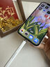 閃魔電容筆iPad觸控筆【直插/IP快充/藍牙電顯】apple pencil蘋(píng)果筆適用25年P(guān)ro/Air/Mini/11代平板 曬單實(shí)拍圖