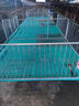 仔豬保育床高配熱鍍2.5小豬保育欄母豬產(chǎn)床定限位欄養殖養豬設備 【經(jīng)濟款】熱鍍2.5復合雙體保育床 曬單實(shí)拍圖