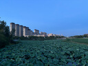 蒂森特3C認證尼康W300 A1000 P340 b600 S610 S630 S8100 S8200 S9100鑰動(dòng)360 170數碼相機EN-EL12電池 3C認證高容版【1050MAH】 曬單實(shí)拍圖