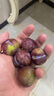 京覓四川茵紅李脫骨李3斤裝 單果15g+小脆紅李子青紅脆李水果源頭直發(fā) 曬單實拍圖