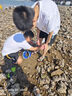 花沃里趕海工具6件套裝 鏟子挖沙工具鐵鍬耙子趕海夾子防水手套抄網(wǎng)水桶 曬單實拍圖