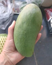 三亞芒果  海南芒果新鮮水果生鮮整箱當(dāng)季大青皮芒 熱帶孕婦芒果 5斤裝(凈果4.5斤)單果201克+ 曬單實(shí)拍圖