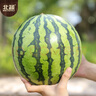 北蔬 西瓜種子種苗冰糖麒麟8424盆栽西瓜籽 冰糖麒麟瓜種子約150粒 曬單實拍圖