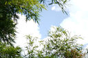 索尼（SONY）E55-210mm F4.5-6.3 APS-C畫幅風(fēng)光人像 遠(yuǎn)攝長(zhǎng)焦鏡頭 黑色 標(biāo)配 曬單實(shí)拍圖