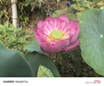 閃魔適用ipad air7/6保護(hù)套11英寸M3芯片2025/24款四邊磁吸拆分蘋果平板透明亞克力保護(hù)殼-灰色 曬單實(shí)拍圖