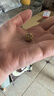 周生生黃金轉(zhuǎn)運(yùn)珠Charme霸氣貔貅XL足金串珠93838C定價(jià)不含繩 曬單實(shí)拍圖