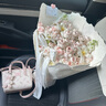 紐芝蘭（NUCELLE）沈月同款飛馬mini托特包2025新款單肩斜挎菜籃子手提包生日禮物女 曬單實(shí)拍圖