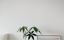 宜家（IKEA）JONAXEL尤納賽爾帶細網籃書架落地花架置物架衛(wèi)生間收納 儲物組合 寬網籃(帶頂板)50x51x70cm 曬單實拍圖