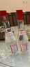 古貝春 全新六代白板 濃香型白酒 42度 475ml 單瓶裝 【掃蓋有獎】 曬單實拍圖
