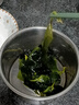 霞浦鹽漬海帶嫩苗8斤新鮮火鍋涼拌專用非即食小海帶小包裝批發(fā) 400g少鹽海帶苗【12包】 曬單實拍圖
