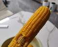 山東老式笨玉米黃玉米有嚼勁傳統(tǒng)非轉(zhuǎn)基因玉米棒不甜不糯粗糧代餐 8根特大 【302g以上】 曬單實(shí)拍圖
