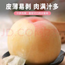 京覓無(wú)錫陽(yáng)山水蜜桃 凈重6斤+ 單果5-6兩 12個(gè) 新鮮水果 源頭直發(fā)包郵 曬單實(shí)拍圖