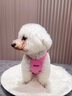 MIKI PAD狗狗衣服小型犬夏季薄款衣服戶外馬甲春秋透氣泰迪比熊可牽引 玫紅馬甲 XL胸圍45cm（參考體重9-11斤） 曬單實(shí)拍圖