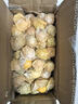 京覓 東北姑娘果2斤裝凈重 燈籠果黃菇娘洋姑娘果 新鮮水果 源頭直發(fā) 曬單實(shí)拍圖