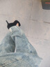 百麗（Belle）優(yōu)雅高跟單鞋女2025秋新商場(chǎng)同款羊皮絨面通勤單鞋3O412CQ5 黑色 38 (240mm) 曬單實(shí)拍圖