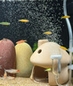 米家（MIJIA）小米米家智能生態(tài)魚缸還原自然生態(tài)補(bǔ)倉一次三月無憂出差旅行必備 曬單實(shí)拍圖