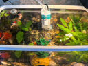 SQG魚(yú)缸過(guò)濾器四合一內置過(guò)濾泵水循環(huán)系統養魚(yú)小型氧氣泵抽水泵增氧 內置過(guò)濾器-6W 推薦50cm缸 曬單實(shí)拍圖