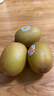 佳沛（zespri）新西蘭 新果季 陽光金奇異果33粒原箱單果重約101-114g 獼猴桃 曬單實(shí)拍圖