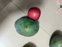 京覓四川凱特芒果新鮮水果凈重8斤單果410g+源頭直發(fā)包郵 曬單實(shí)拍圖