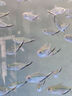 創(chuàng)星魚缸過濾器過濾桶循環(huán)水泵系統(tǒng)全套龜缸三合一周轉過濾箱靜音殺菌 【UV殺菌】80-150CM缸（大流量選擇）CFS 【搭配前置過濾桶】套裝 曬單實拍圖