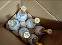 汾酒 黃蓋玻汾 清香型白酒 53度 475mL*6瓶 整箱裝非原箱 曬單實拍圖