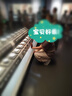 SIINSIIN降落傘褲闊腿褲女寬松防曬透氣速干運動束腳褲工裝休閑褲 【常規(guī)】淺卡其 (建議161-174cm) XL （130斤-150斤） 曬單實拍圖