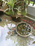 聚漁優(yōu)品魚(yú)池過(guò)濾器養(yǎng)水循環(huán)凈化魚(yú)塘設(shè)備養(yǎng)魚(yú)室外戶外大型水池過(guò)濾箱 12-25立方瀑布過(guò)濾單箱-不含水泵 曬單實(shí)拍圖