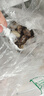 大莊園 進口草飼原切牛腩塊 凈重4斤 燉煮食材【真原切】 曬單實拍圖