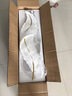 創(chuàng)意高端樹脂壁燈臥室床頭燈客廳背景墻燈過(guò)道歐式復(fù)古造型燈 羽毛A：小號(hào)無(wú)極（18*高65CM) 曬單實(shí)拍圖