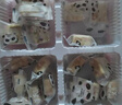 環(huán)太苦蕎雪花酥220g蔓越莓芒果草莓味糕點(diǎn)牛軋?zhí)悄滔銏?jiān)果小餅干零食 4味組合裝 曬單實(shí)拍圖