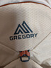 GREGORY格里高利NANO運動(dòng)旅行戶(hù)外徒步滑雪登山輕便沖頂包通勤背負雙肩包 20L-粉霧白【25新色】 曬單實(shí)拍圖