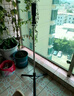 索盈【熱銷100W+】自拍桿三腳架手機(jī)支架落地神器360度旋轉(zhuǎn)防抖三軸云臺(tái)便攜式旅游直播支架桌面拍攝桿 曬單實(shí)拍圖
