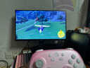 蓋世小雞（GAMESIR）超新星無(wú)線游戲手柄帶底座 適用switch2手機(jī)PC安卓Steam電腦NS2pro電視體感藍(lán)牙有線粉色雙人成行 曬單實(shí)拍圖